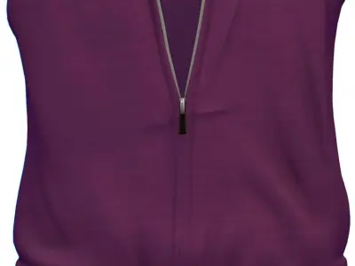 Cartoon High Poly Subdivision Purple Jacket Low-poly 3D model