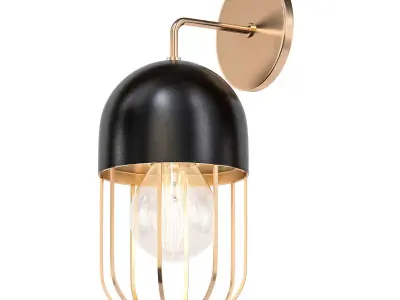 CAPSULE CAGE 3D model