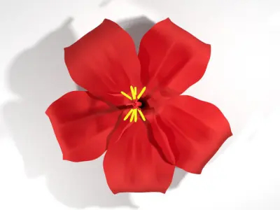 Flower - Hibiscus 3D model