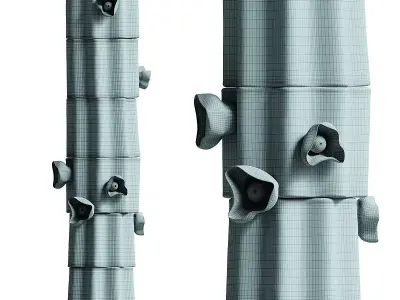 Vessels Molly Floor 3D model