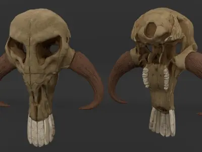 Mandalorian scull Mythosaur Skull low poly and hi poly model 3D model
