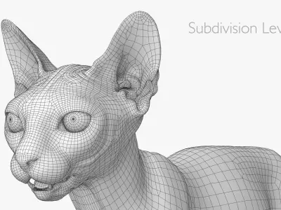  Sphynx Lowpoly 