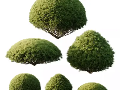 Excellent collection of Outdoor plants 43 Different Models 0041 3D Model Pack