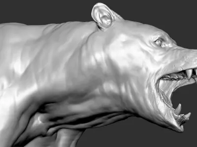  Bear with Facial Expression 