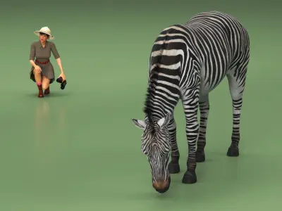  Explorer and Zebra Fur 