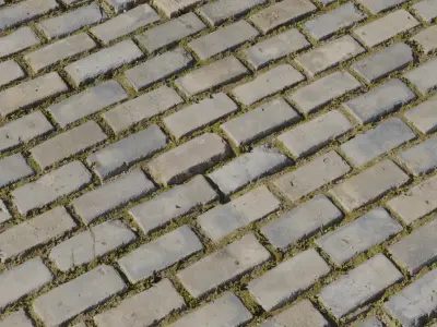 Mossy Brick Setts PBR Texture  Texture