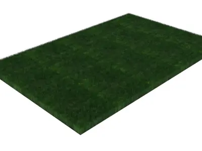 Grass With Growing Animation 3D model