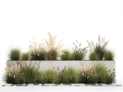 Bushes For Landscaping With Pampas Grass 1169 3D model