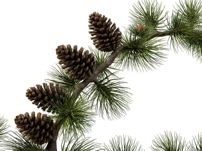 Decorative set 01 3D model