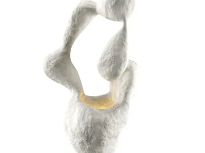 Fertility Form Light Low-poly 3D model