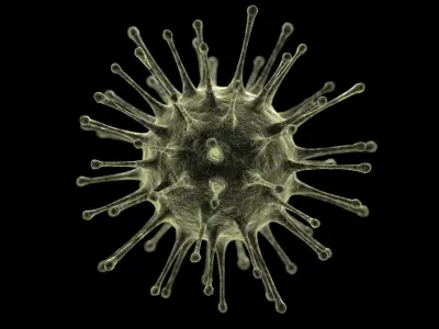 Generic Virus 3D model