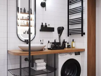 Toilet Black and White 3D Scenes 3D model