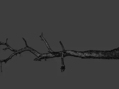 PBR 8K Pine Tree Fallen Dead Scan Big 3D model