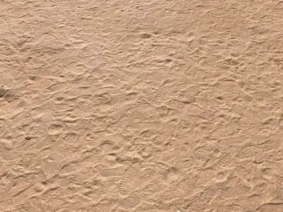 Sand Beach 02 PBR Low-poly 3D model
