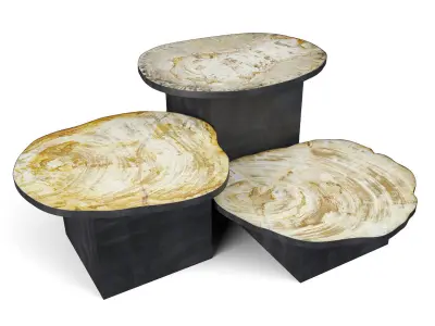 Petrified Wood Slice Coffee Tables 8 3D model