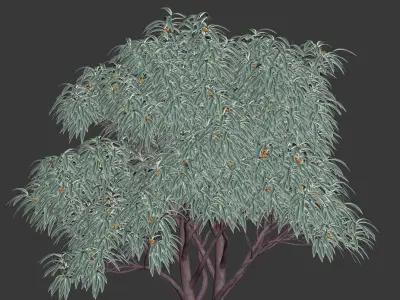 Deciduous tree with fruit - Medlar 3D model