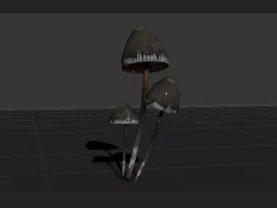 mushrooms collection Low-poly 3D model