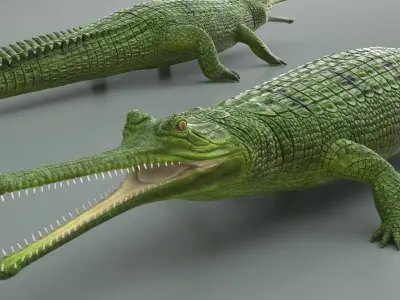  Green Long Snouted Gharial Crocodile 