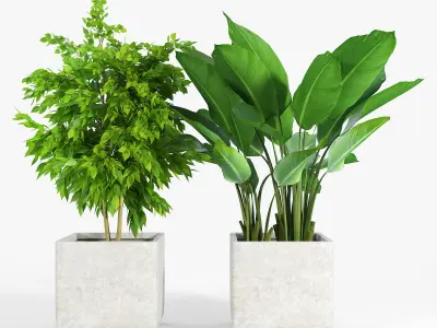 Set Crate and Barrel three 3D model