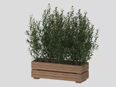 Stjarnanis flower box 3D model 3D model