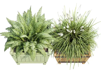 Exeter two planters with ferns and grasses 3D model