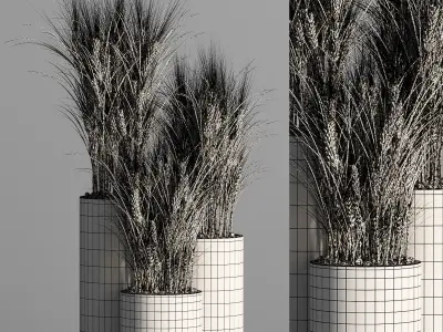 Indoor Plant Set 47 Wheat 3D model