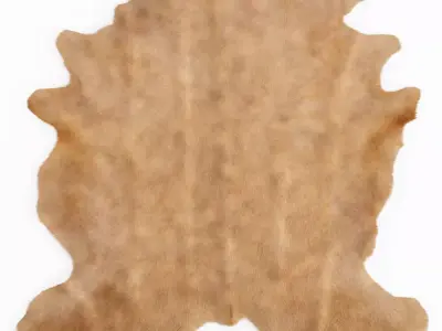 Beige Cow Hide Rug 3D model