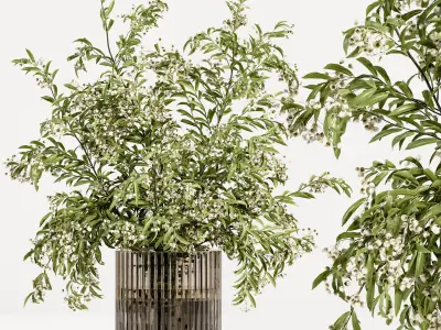 Collaction Plants Bouquet 24 3D model