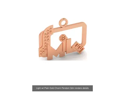 51 Light wt Plain Gold Charm Pendant 3dm renders details  3D Model Pack