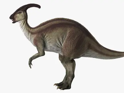  Parasaurolophus Dinosaur Rigged for Cinema 4D 