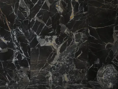 Wall Tiles Museum Laurent Black 160x320 Set 2 Texture