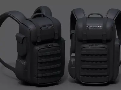 Backpack Camping bag baggage Black  Low-poly 3D model