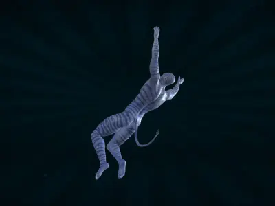 AVTR-005 Avatar Backflip Animation 3D model