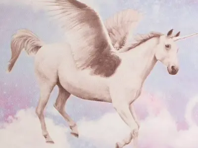 Enchanted Pegasus Dreams Kids Wallpaper Texture