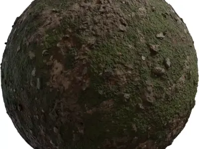 Mossy Mudrock Ground PBR Texture Texture