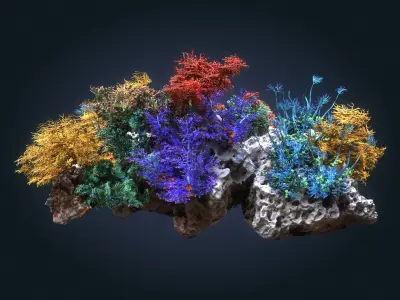  Coral reef ecosystem Animated Pack 8 