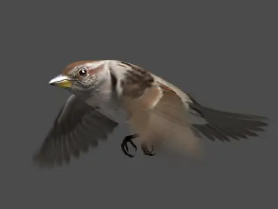  American Tree Sparrow Animated 