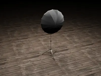 Photo Studio Umbrella Light 3D model