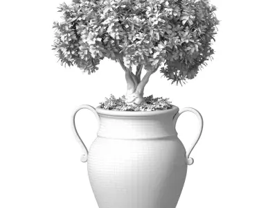 Decorative flowering garden tree plant in Italian floor vase  3D model