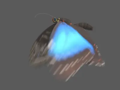  Blue Morpho Butterfly Animated 