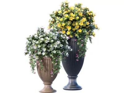 Bouquet of white and yellow Petunia flowers in pots urns vases 3D model