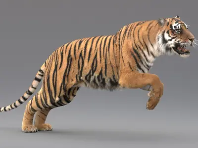  Tiger Animated (Fur) 