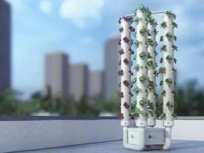 hydroponics 3D model