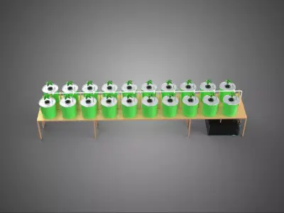 DIY DUTCH BUCKET HYDROPONIC SYSTEM SETUP GREENHOUSE BATO GARDEN 3D model