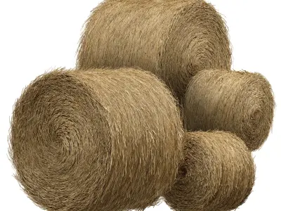 Hay in rolls Straw in rolls 3D model