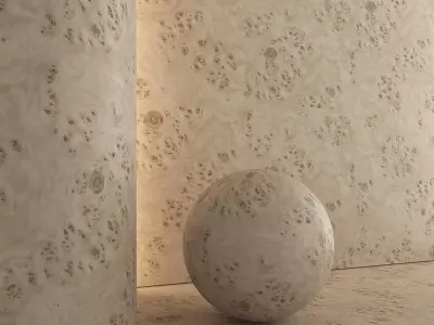 Birch Burl wood material 01 Texture