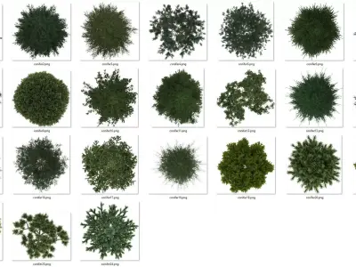 2D Conifiers Plants TopViews Collection 24 Layers PNG PSD PDF Texture