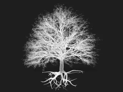 Cherry Tree  3D model