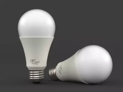 Light Bulb 3D model