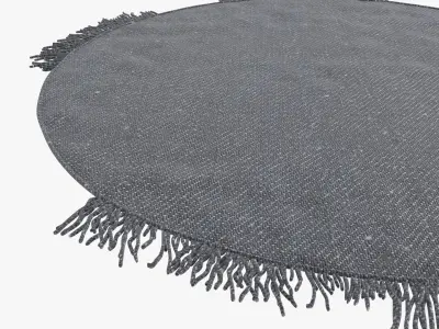 custom made round  modern carpet 3D model